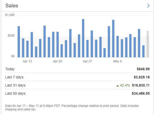 Dropshipping Success Stories