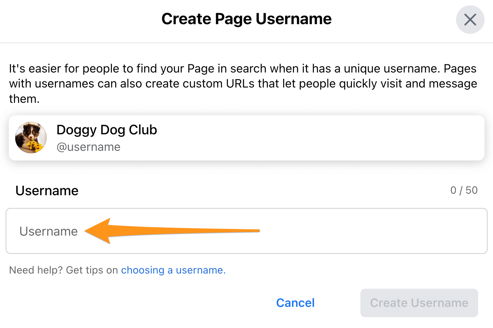 Enter Username Facebook