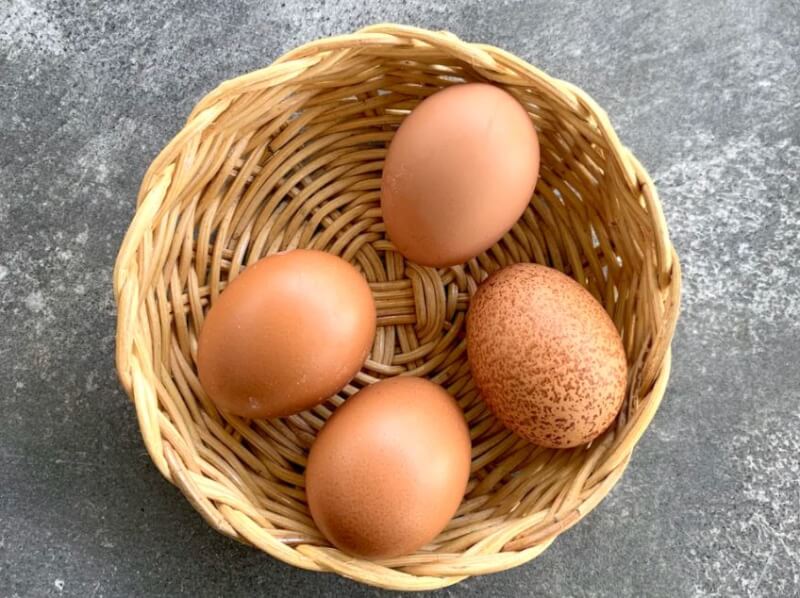 eggs in one basket