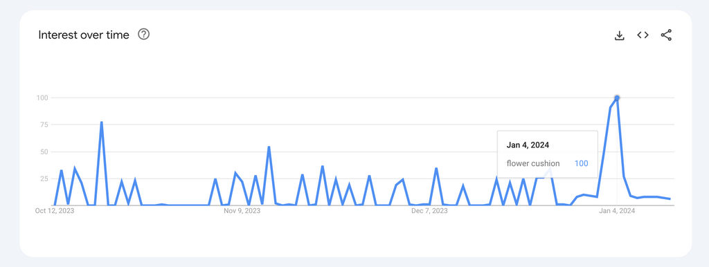 flower cushion google trends